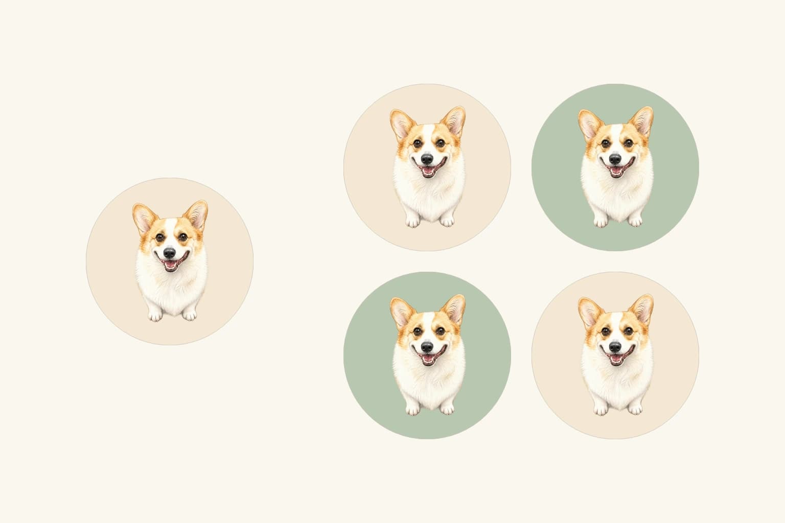 One round pet coaster design beside a set of four, each featuring the same illustrated corgi